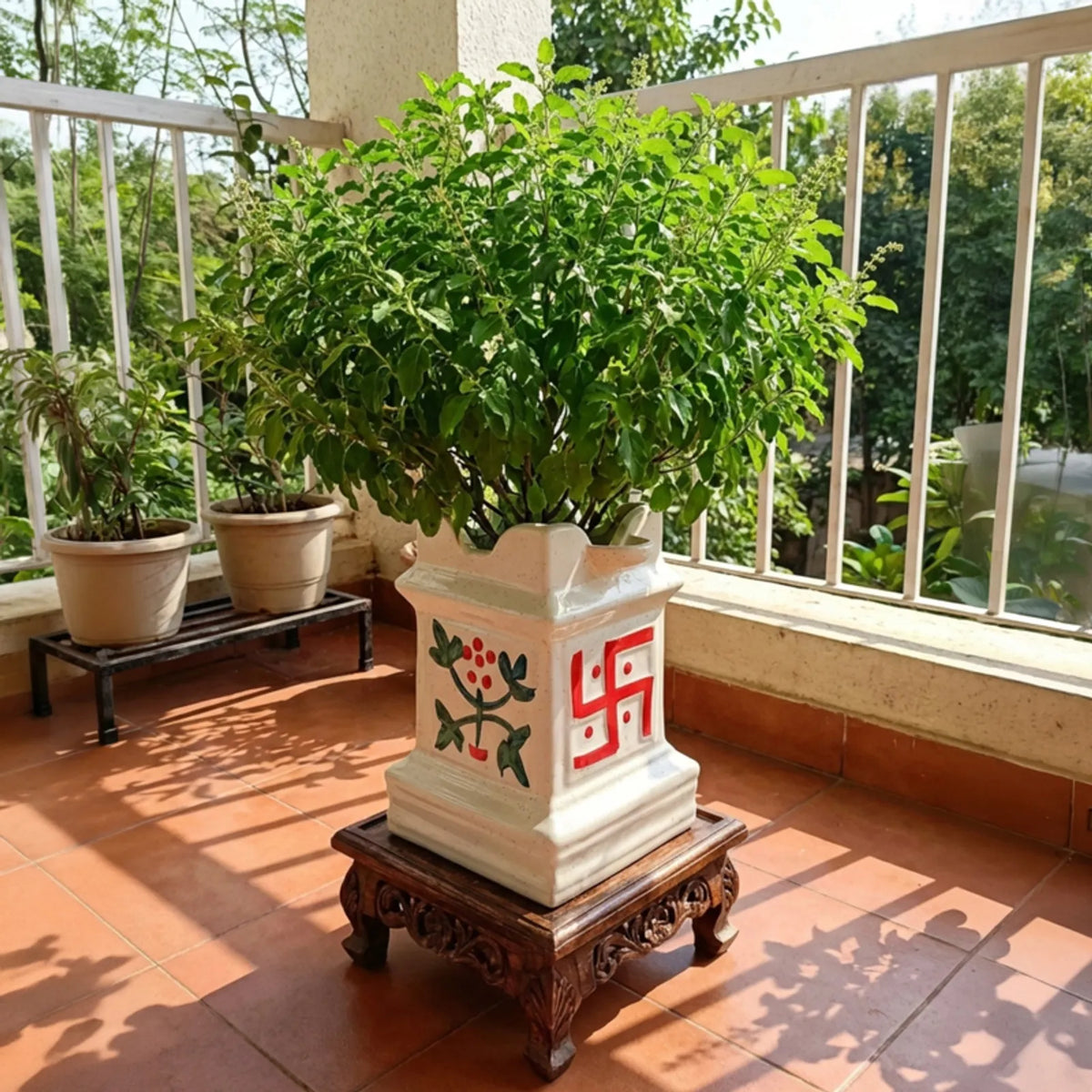 Ceramic Tulsi planter with a full Tulsi plant on a balcony