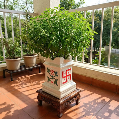 Ceramic Tulsi planter with a full Tulsi plant on a balcony