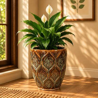 Studio XI Cross Brown glossy glazed ceramic planter with a Peace Lily in a sunlit living room