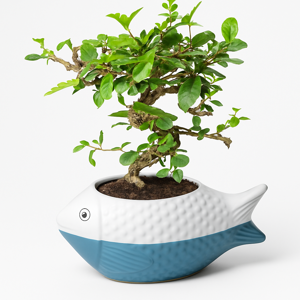 10-Year-Old Carmona Flowering Bonsai Tree