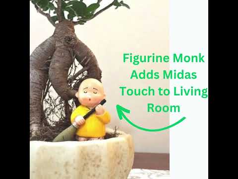 Ficus Bonsai Plants For Home Indoor Live in Ceramic Pot