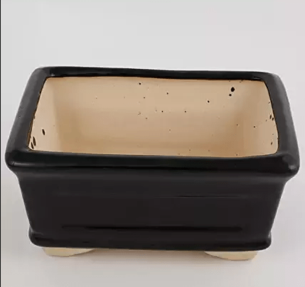 Rectangle Bonsai Planter Ceramic Black 8 Inches