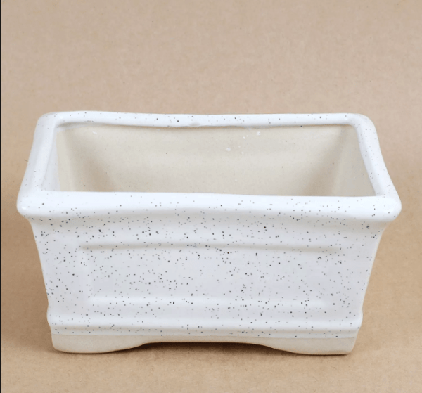 Rectangle Bonsai Planter Ceramic White 8 Inches