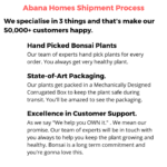 Abana Homes Shipment Contact