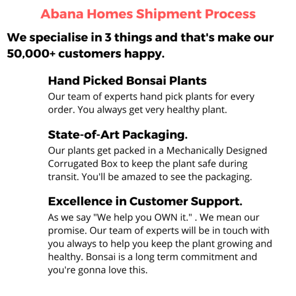 Abana Homes Shipment Contact