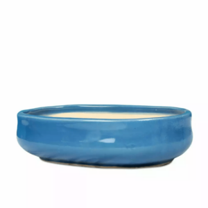 bonsai pot oval light blue