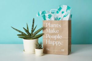 Gifting Plants Online