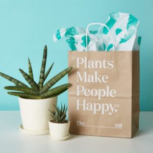 Gifting Plants Online