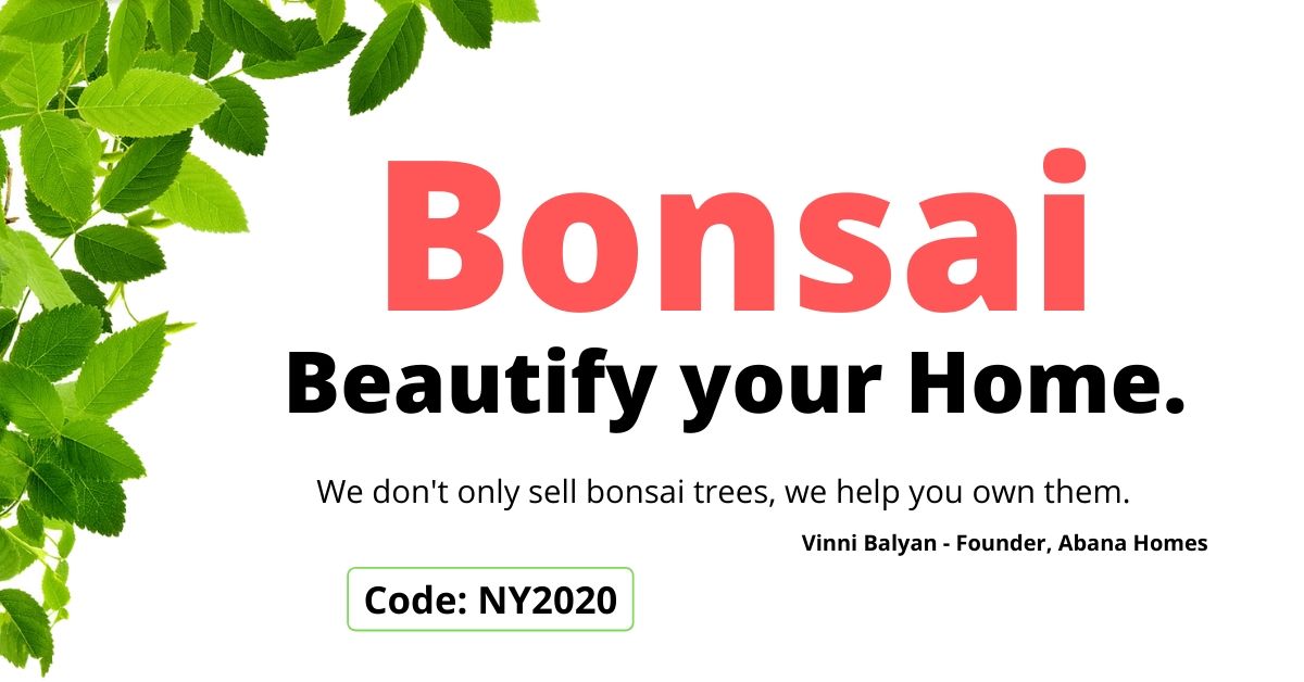 Abana Homes - Bonsai Tree