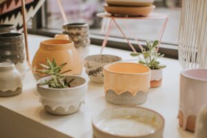Ceramic Pots Online - Buy Bonsai Pots Online