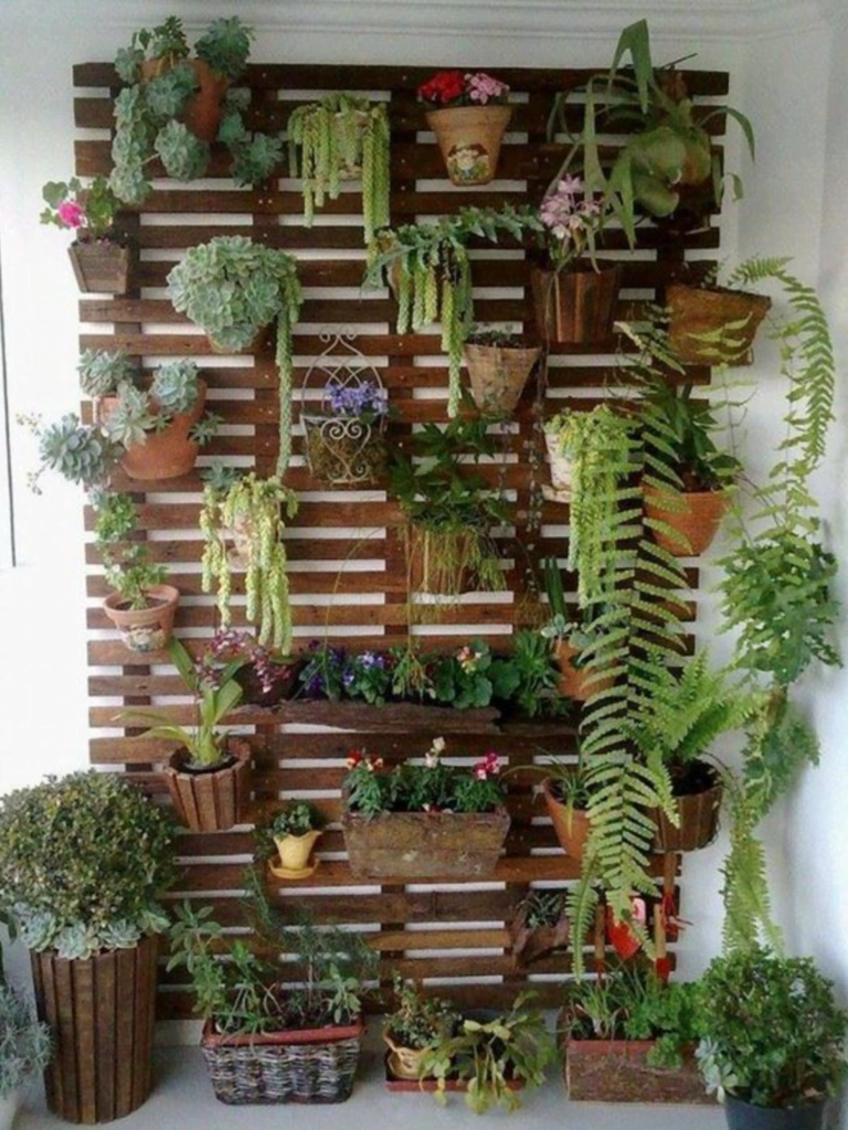 balcony garden India