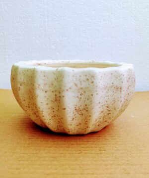 Bonsai Pots Ceramic Kamrak