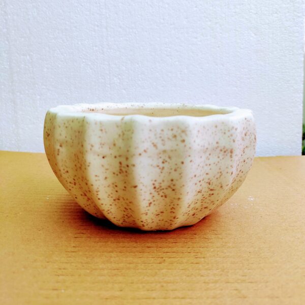 Bonsai Pots Ceramic Kamrak