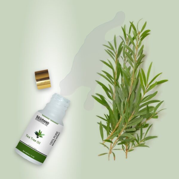 Tea Tree Essential Oil - 100% Pure & Organic