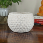 Get this beautiful ceramic bonsai pot of football shape