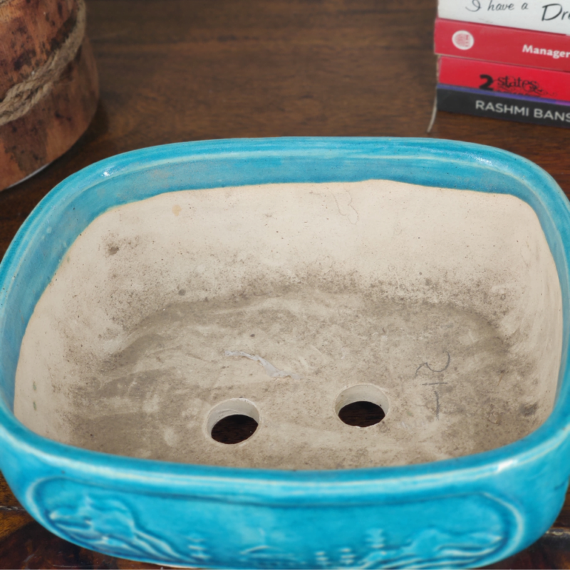 Get this royal ceramic bonsai pot for your bonsai plants