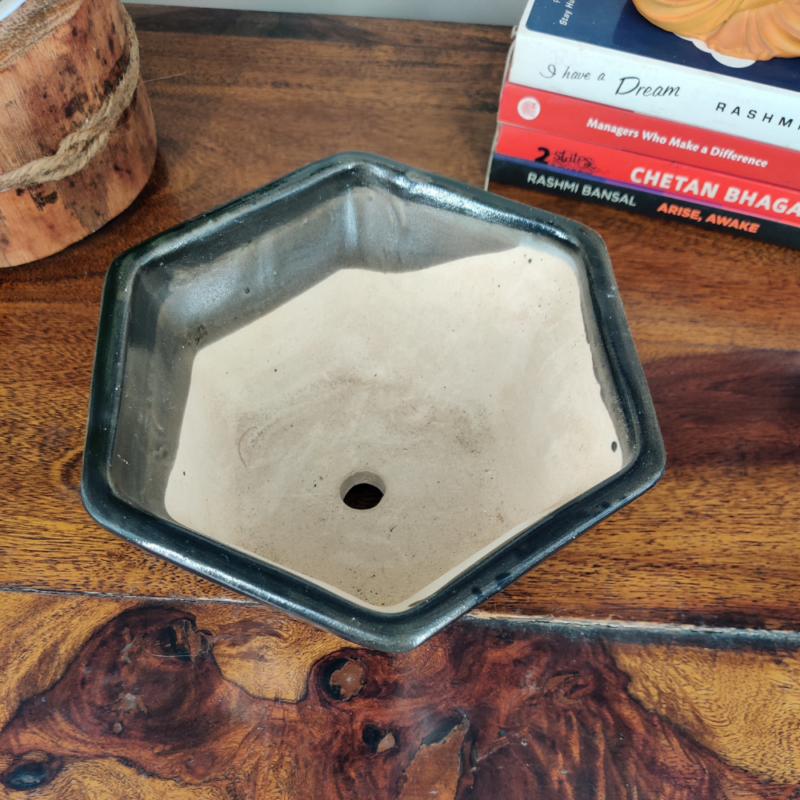 Get this unique and hexagonal ceramic bonsai pot