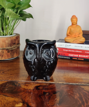 Attract wealth indoors with this owl design bonsai pot
