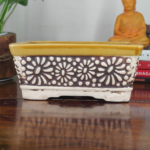 Ceramic Bonsai Pot