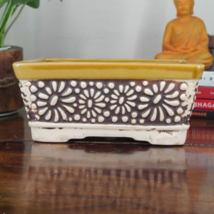 Get this beautiful and colored ceramic bonsai pot for your plants