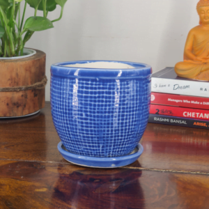 Get this glazed ceramic pot to beautify your bonsai plant