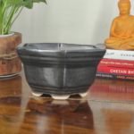 Get this unique and hexagonal ceramic bonsai pot