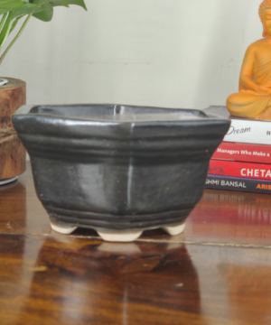 Get this unique and hexagonal ceramic bonsai pot
