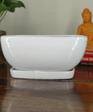 Get this beautiful glazed ceramic bonsai tray pot