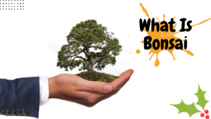 what is bonsai