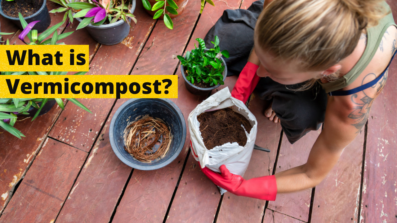 What is Vermicompost