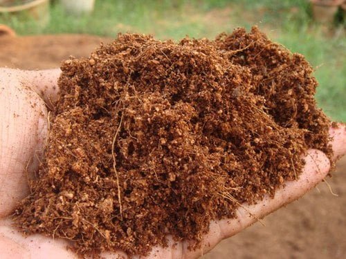 What is Coco Peat? Benefits, How to Prepare & Use Coco Peat