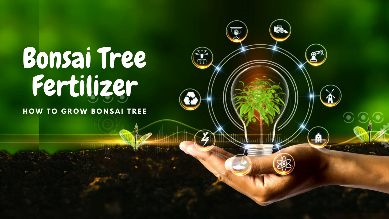 Bonsai Tree Fertilizer