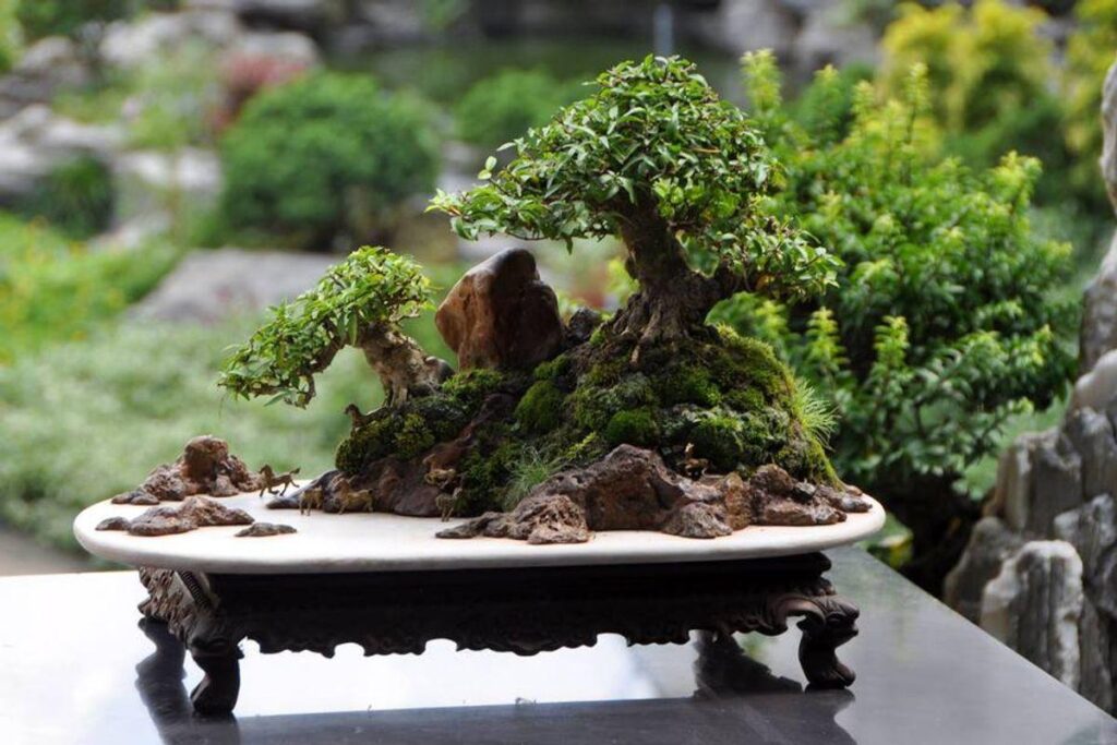 Penjing Bonsai - History, Style, and How to Make