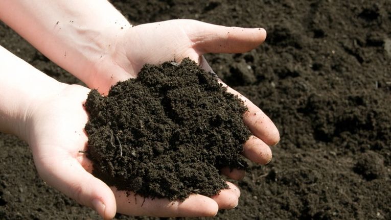 How to make compost at home?
