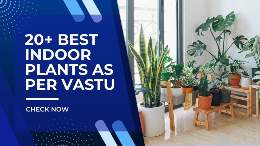 20 Best Indoor Plants As Per Vastu 1024x576 
