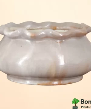 Ceramic Bonsai Pot