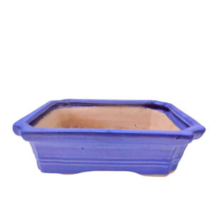 Blue Bonsai Pot Ceramic Pot Online