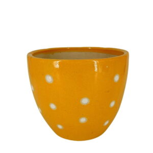 Yellow Dotted Ceramic Pot 6 Inches