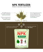 npk fertilizer 19 19 19 What is NPK