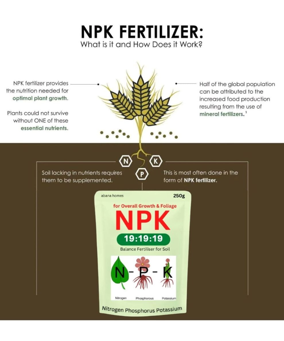 NPK 19 19 19 Fertilizer For Garden Plants Abana Homes