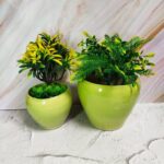 Apple Shape Ceramic Planter