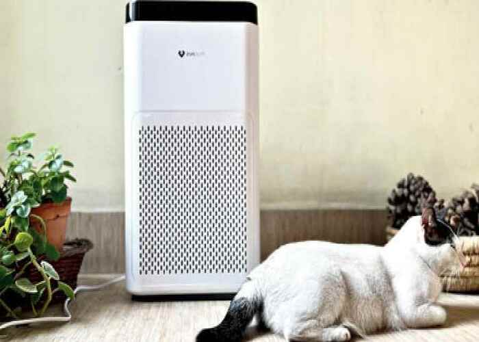 Air purifier selection based on personal preferences