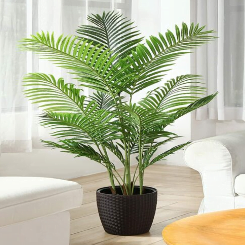 <strong>10+ Best Air Purifying Plants to Reduce Air Pollution</strong>