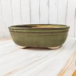 Greenish Glossy Bonsai Ceramic Planter