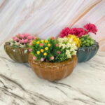 Round Bonsai Pot with Glossy Cutting