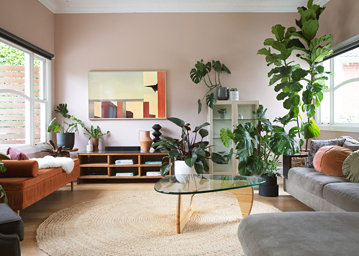 Decorate a living room with stand-alone plants