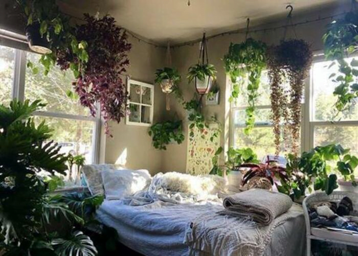 Decorate your bedroom spaces with hanging plants