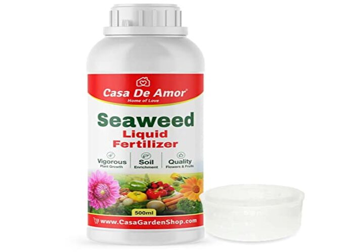 Casa Amor seaweed liquid fertilizer