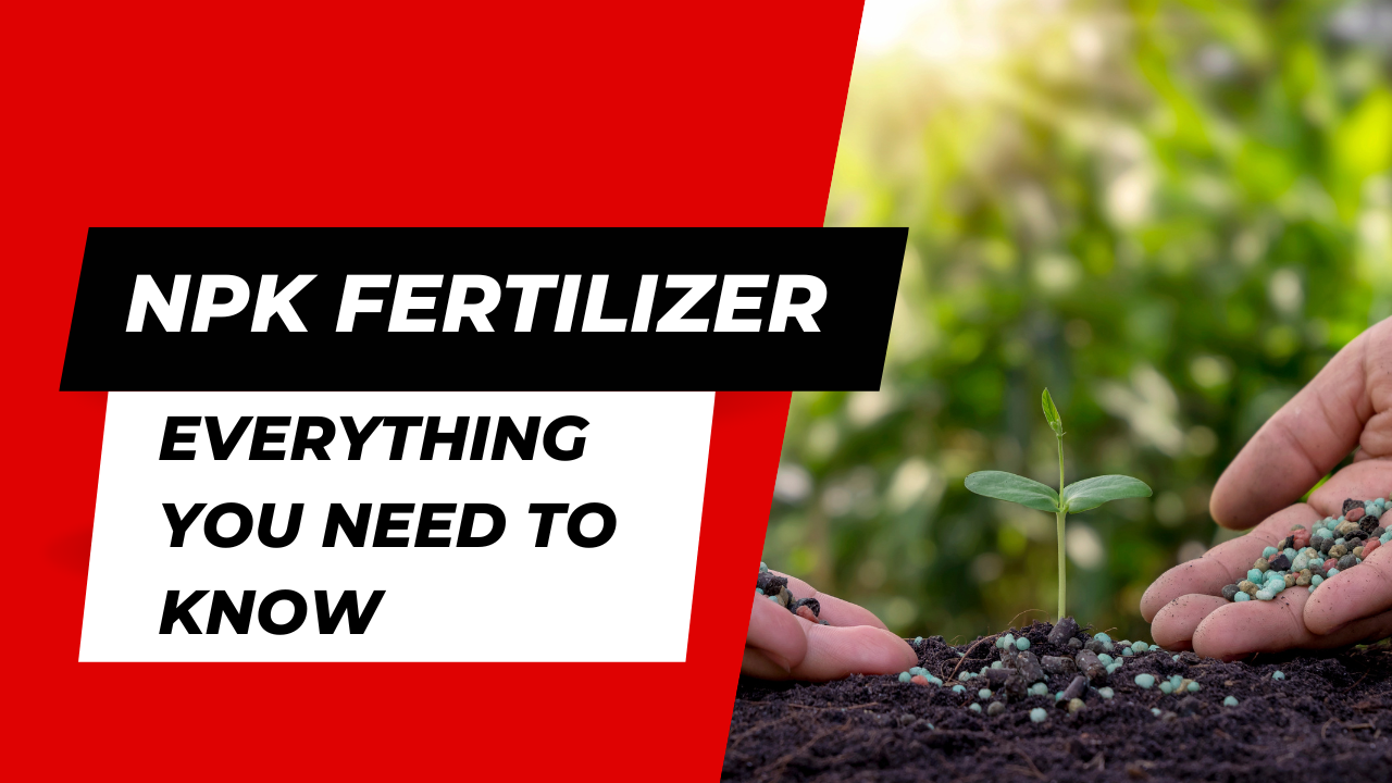 NPK Fertilizer