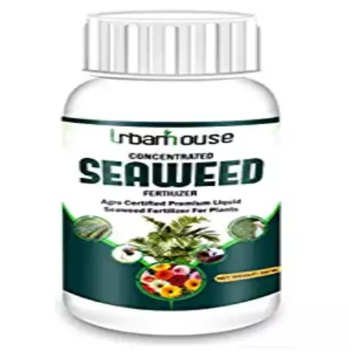 Urbanhouse concentrate seaweed fertilizer